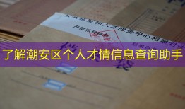 了解潮安区个人才情信息查询助手