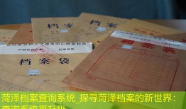菏泽档案查询系统_探寻菏泽档案的新世界：查询系统再升级