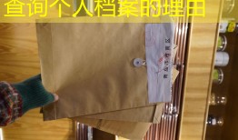 查询个人档案的理由