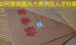 如何查询嘉兴市秀洲区人才档案