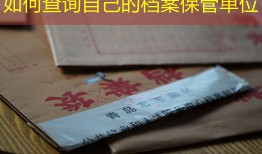 如何查询自己的档案保管单位