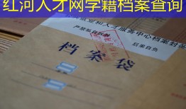 红河人才网学籍档案查询
