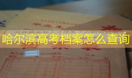 哈尔滨高考档案怎么查询