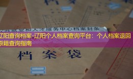 辽阳查询档案-辽阳个人档案查询平台：个人档案退回原籍查询指南