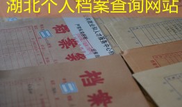 湖北个人档案查询网站