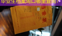 毕业生档案周口哪里查询？