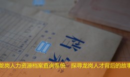 龙岗人力资源档案查询系统：探寻龙岗人才背后的故事