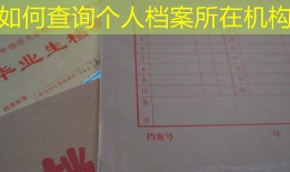 如何查询个人档案所在机构