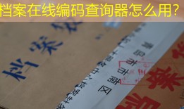 档案在线编码查询器怎么用？