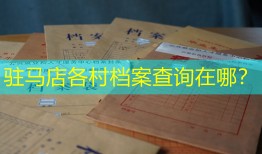 驻马店各村档案查询在哪？