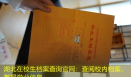 湖北在校生档案查询官网：查阅校内档案，掌握学业信息
