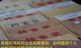 恩施州高校毕业生档案查询：如何查询个人档案退回原籍后的流程和方法
