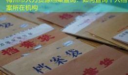 梅州市人力资源档案查询：如何查询个人档案所在机构