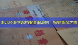 湖北经济学院档案查询流向：探究查询之路