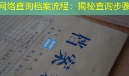 网络查询档案流程：揭秘查询步骤