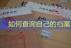 如何查询自己的档案？