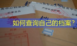 如何查询自己的档案？