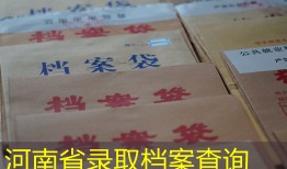 河南省录取档案查询
