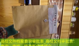高校文件档案查询审批表_高校文档审批表：查询、审核、核准新申请提交