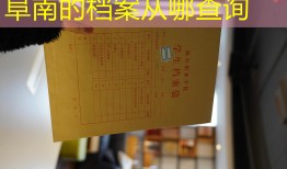 阜南的档案从哪查询