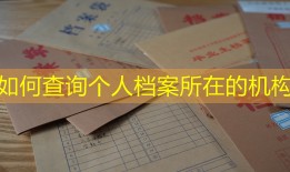 如何查询个人档案所在的机构
