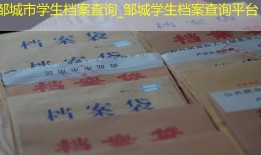 邹城市学生档案查询_邹城学生档案查询平台