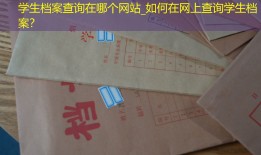 学生档案查询在哪个网站_如何在网上查询学生档案？
