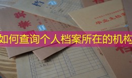 如何查询个人档案所在的机构