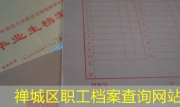 禅城区职工档案查询网站
