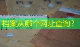 档案从哪个网址查询？