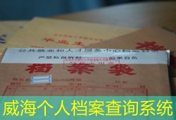 威海个人档案查询系统