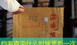 档案查询什么时候更新一次