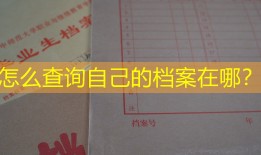 怎么查询自己的档案在哪？