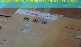 泰安档案激活查询系统网址已经上线！