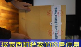探索酉阳档案的珍贵信息