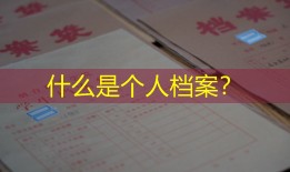什么是个人档案？