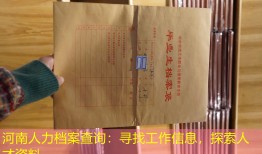 河南人力档案查询：寻找工作信息，探索人才资料