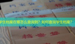 学生档案在哪怎么查询到？如何查询学生档案？