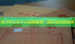 吴川市人才个人档案查询：探究背后的故事
