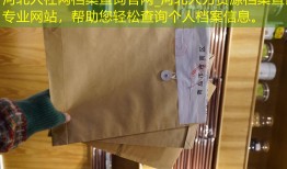 河北人社网档案查询官网_河北人力资源档案查询专业网站，帮助您轻松查询个人档案信息。