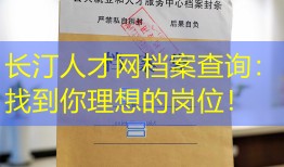 长汀人才网档案查询：找到你理想的岗位！