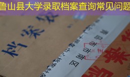鲁山县大学录取档案查询常见问题