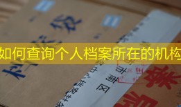 如何查询个人档案所在的机构