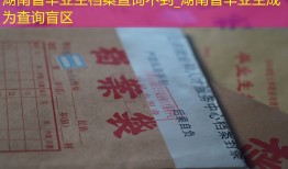 湖南省毕业生档案查询不到_湖南省毕业生成为查询盲区
