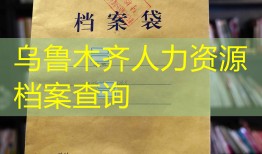 乌鲁木齐人力资源档案查询