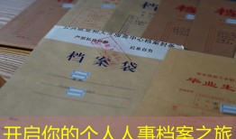 开启你的个人人事档案之旅