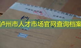 泸州市人才市场官网查询档案