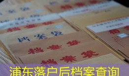 浦东落户后档案查询