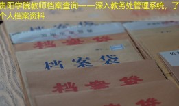 贵阳学院教师档案查询——深入教务处管理系统，了解个人档案资料