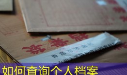 如何查询个人档案